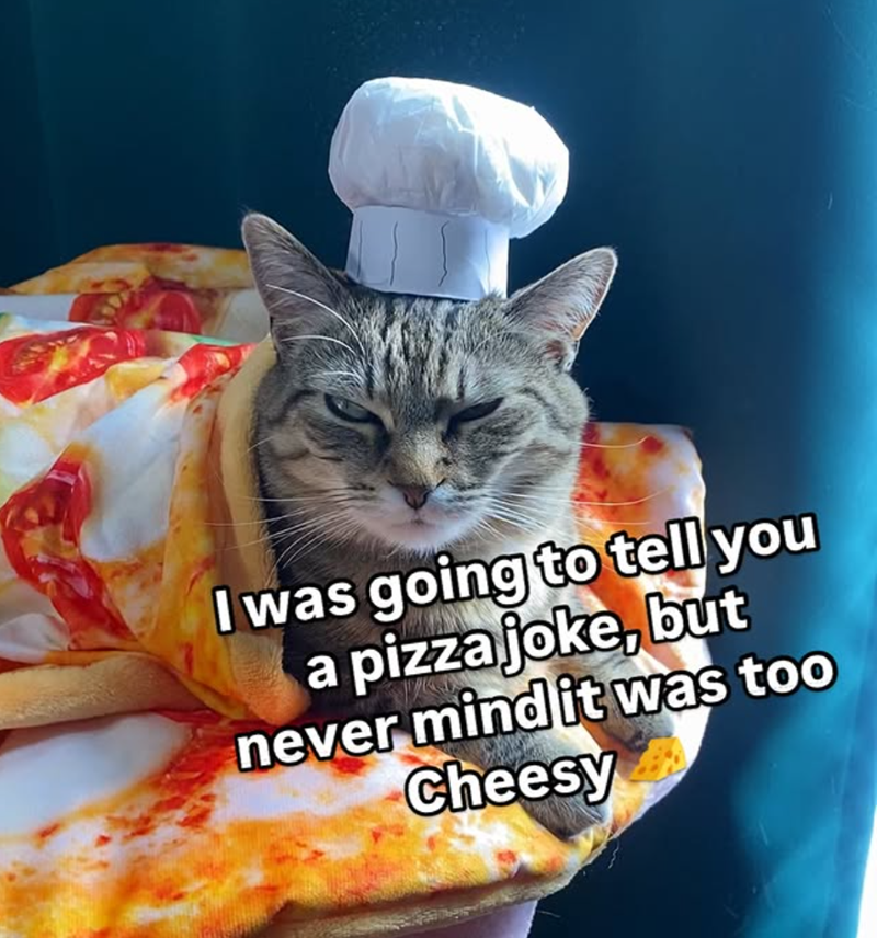 I was going to tell you a pizza joke, but never mind it was too Cheesy
