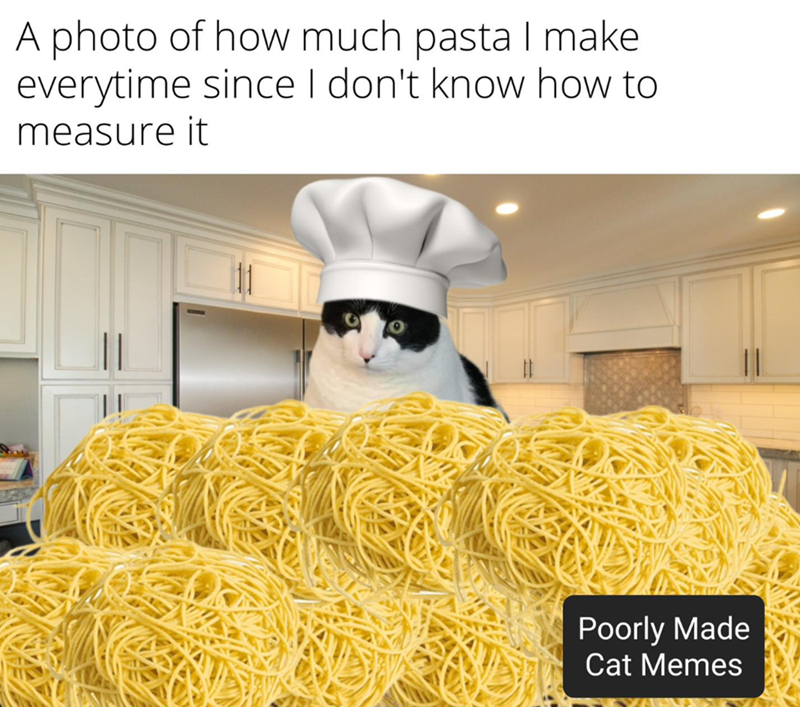 A photo of how much pasta I make everytime since I don't know how to measure it Poorly Made Cat Memes