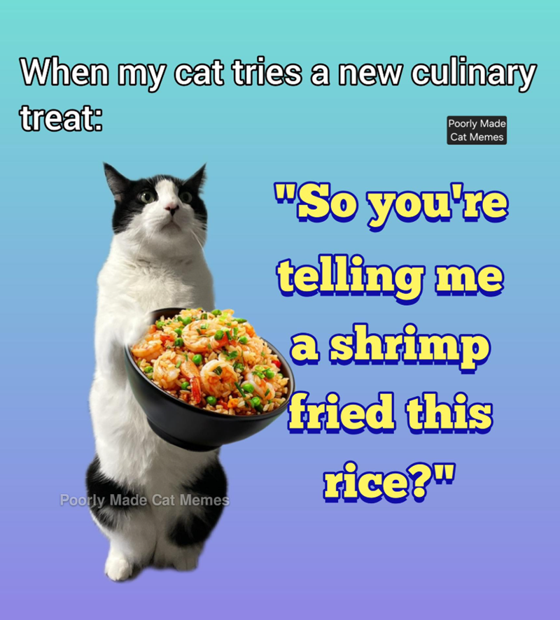 When my cat tries a new culinary treat: Poorly Made Cat Memes Poorly Made Cat Memes "So you're telling me a shrimp fried this rice?"