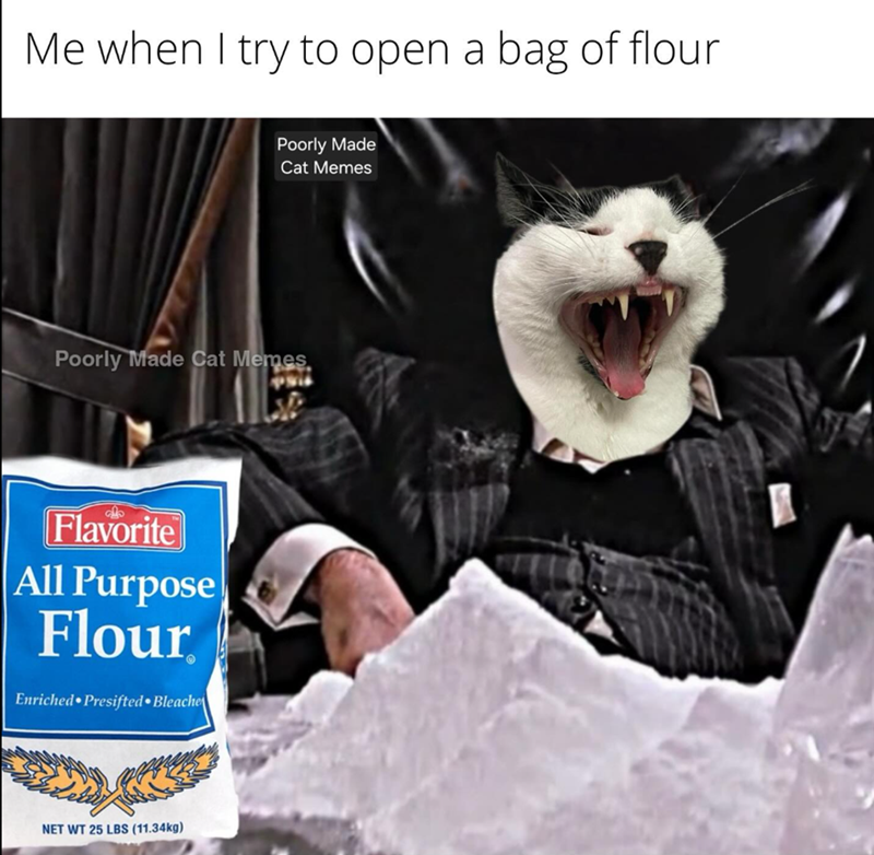 Me when I try to open a bag of flour Poorly Made Cat Memes Poorly Made Cat Memes. Flavorite All Purpose Flour Enriched Presifted Bleache NET WT 25 LBS (11.34kg)