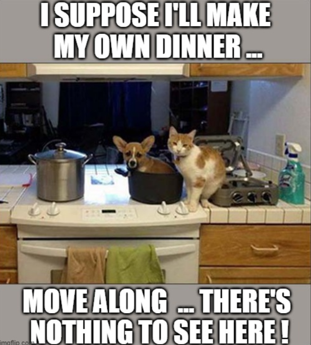 I SUPPOSE I'LL MAKE MY OWN DINNER... imaflip. MOVE ALONG... THERE'S NOTHING TO SEE HERE!