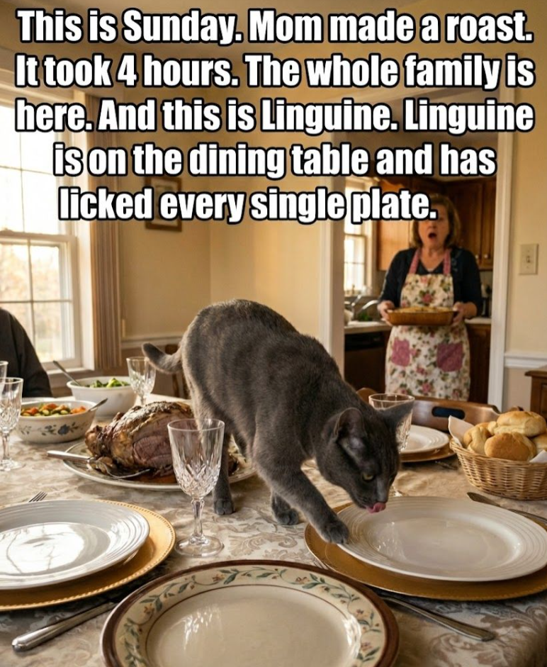 This is Sunday. Mom made a roast. It took 4 hours. The whole family is here. And this is Linguine. Linguine is on the dining table and has licked every single plate.