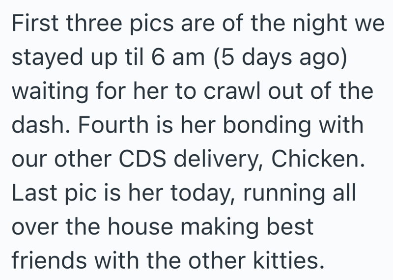 First three pics are of the night we stayed up til 6 am (5 days ago) waiting for her to crawl out of the dash. Fourth is her bonding with our other CDS delivery, Chicken. Last pic is her today, running all over the house making best friends with the other kitties.