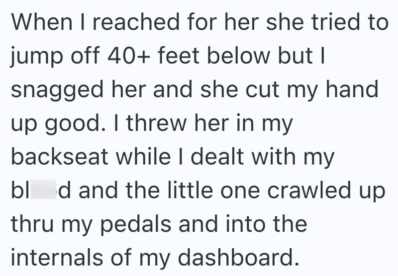 When I reached for her she tried to jump off 40+ feet below but I snagged her and she cut my hand up good. I threw her in my backseat while I dealt with my bl d and the little one crawled up thru my pedals and into the internals of my dashboard.