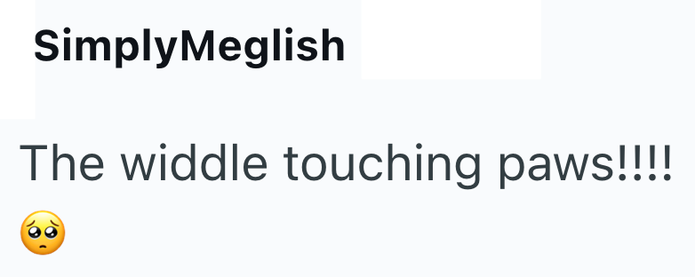 SimplyMeglish The widdle touching paws!!!!