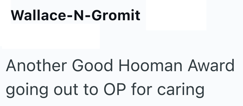 Wallace-N-Gromit Another Good Hooman Award going out to OP for caring
