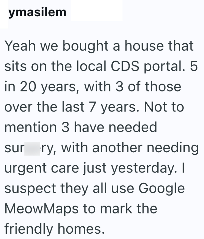 ymasilem Yeah we bought a house that sits on the local CDS portal. 5 in 20 years, with 3 of those over the last 7 years. Not to mention 3 have needed sur ry, with another needing urgent care just yesterday. I suspect they all use Google MeowMaps to mark the friendly homes.