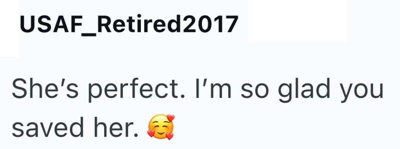USAF_Retired2017 She's perfect. I'm so glad you saved her.