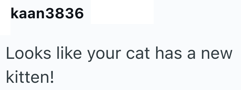kaan3836 Looks like your cat has a new kitten!