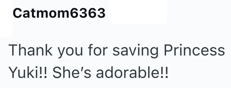 Catmom6363 Thank you for saving Princess Yuki!! She's adorable!!