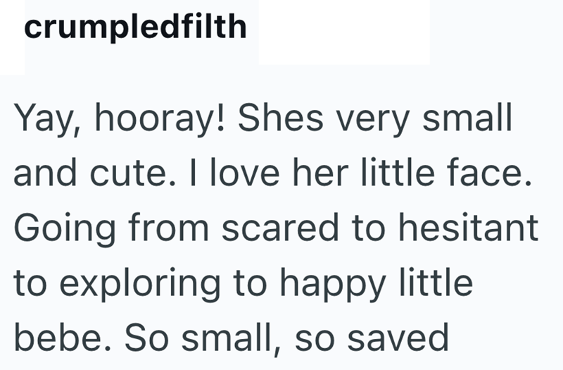 crumpledfilth Yay, hooray! Shes very small and cute. I love her little face. Going from scared to hesitant to exploring to happy little bebe. So small, so saved