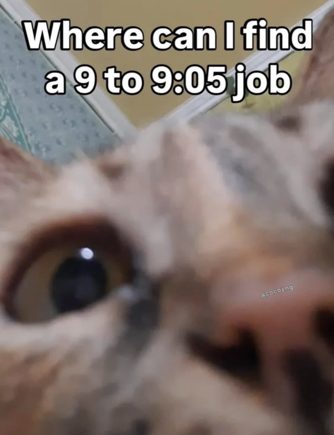 Where can I find a 9 to 9:05 job @cocoing