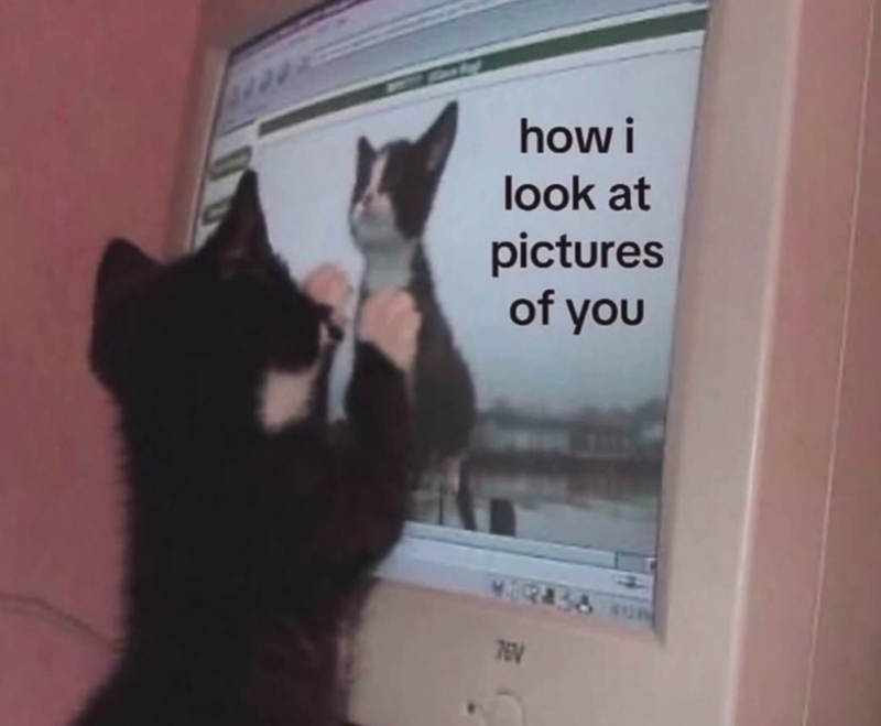 how i look at pictures of you TEV