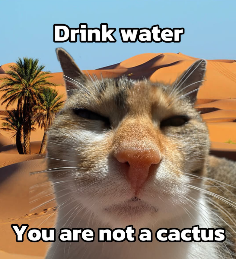 Drink water You are not a cactus