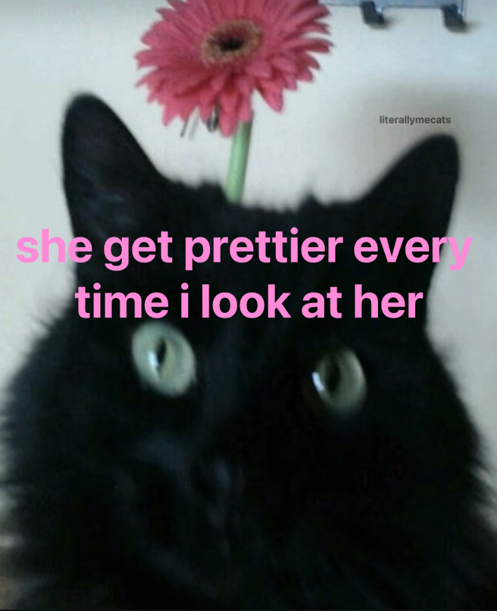 literallymecats she get prettier ever time i look at her