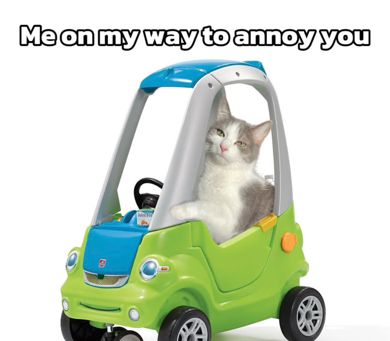 Me on my way to annoy you Juice Box