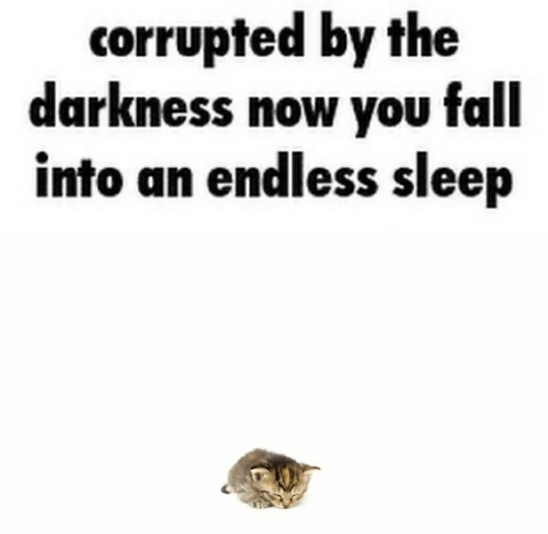 corrupted by the darkness now you fall into an endless sleep