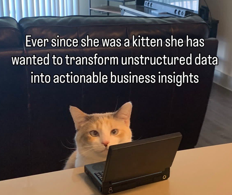 Ever since she was a kitten she has wanted to transform unstructured data into actionable business insights