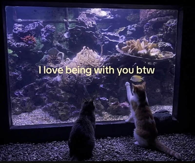 I love being with you btw