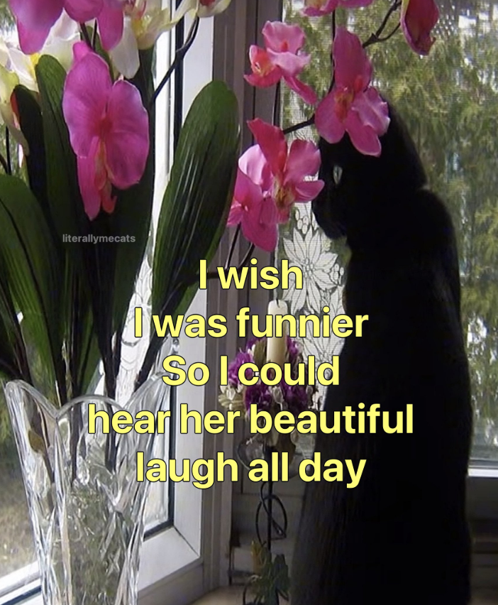 literallymecats I wish Iwas funnier So I could hear her beautiful laugh all day