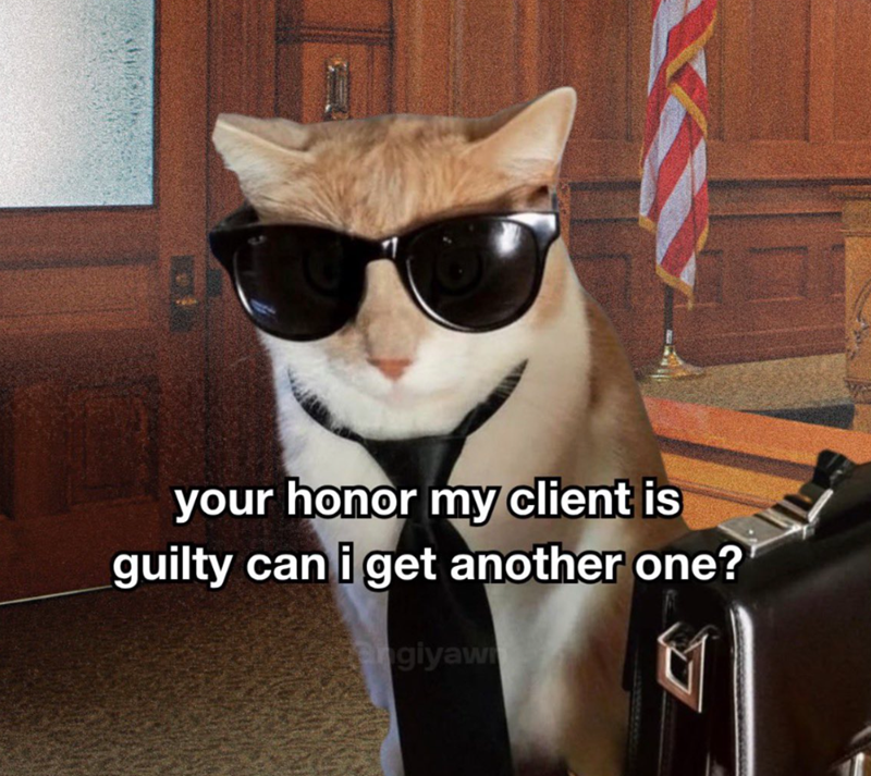 your honor my client is guilty can i get another one? angiyaw