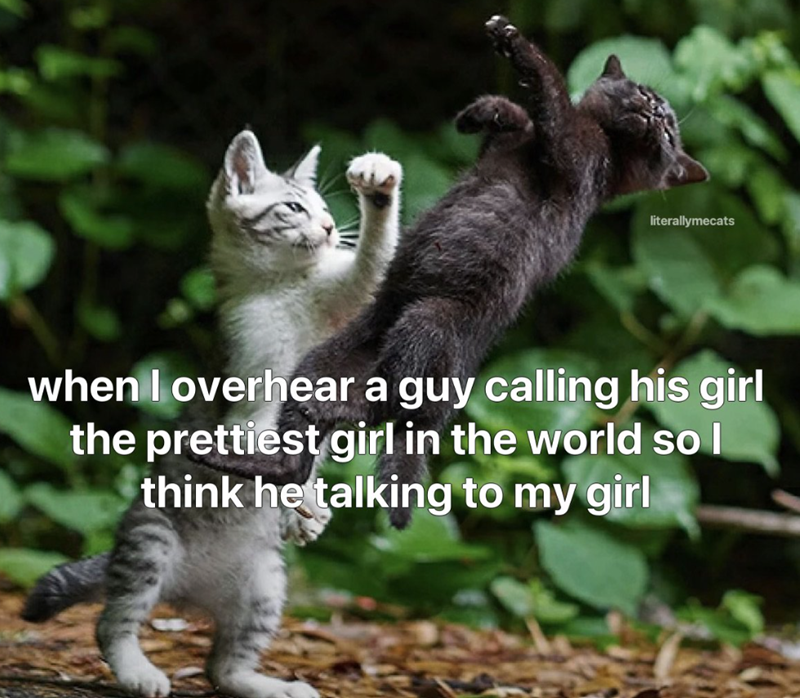 literallymecats when I overhear a guy calling his girl the prettiest girl in the world so I think he talking to my girl