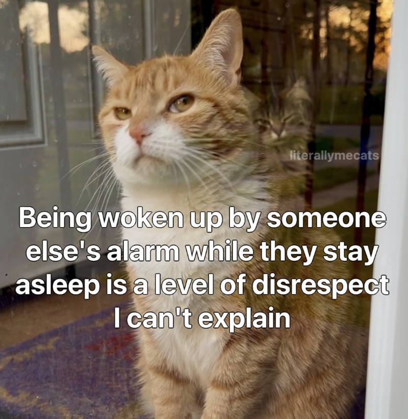 literallymecats Being woken up by someone else's alarm while they stay asleep is a level of disrespect I can't explain