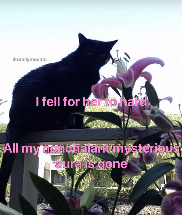 literallymecats I fell for her to hard All my nonchalant mysterious aura is gone