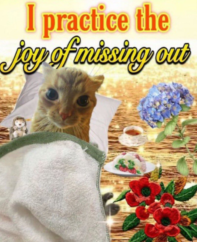 I practice the Jay of missing out