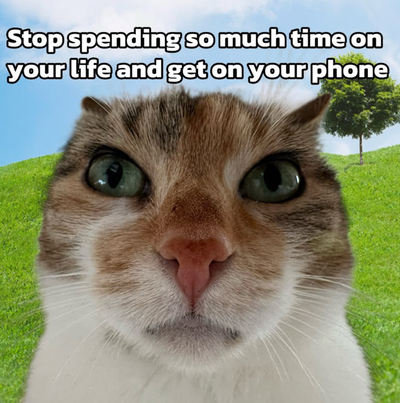 Stop spending so much time on your life and get on your phone