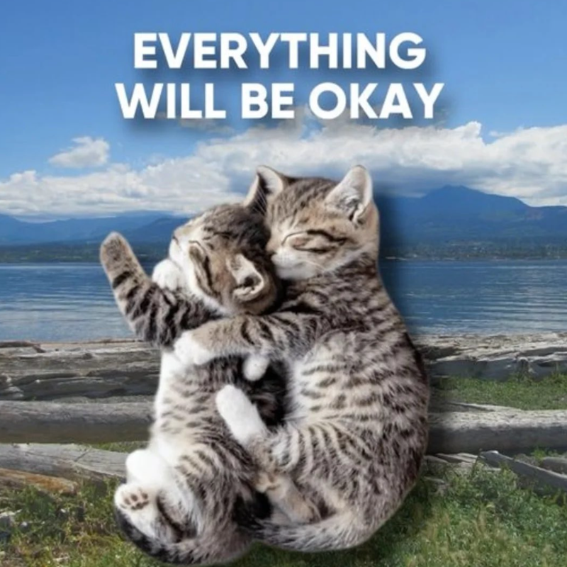 EVERYTHING WILL BE OKAY