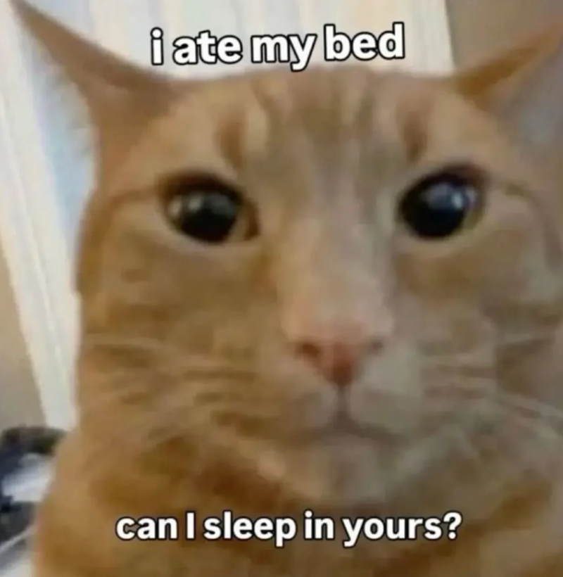 i ate my bed can I sleep in yours?