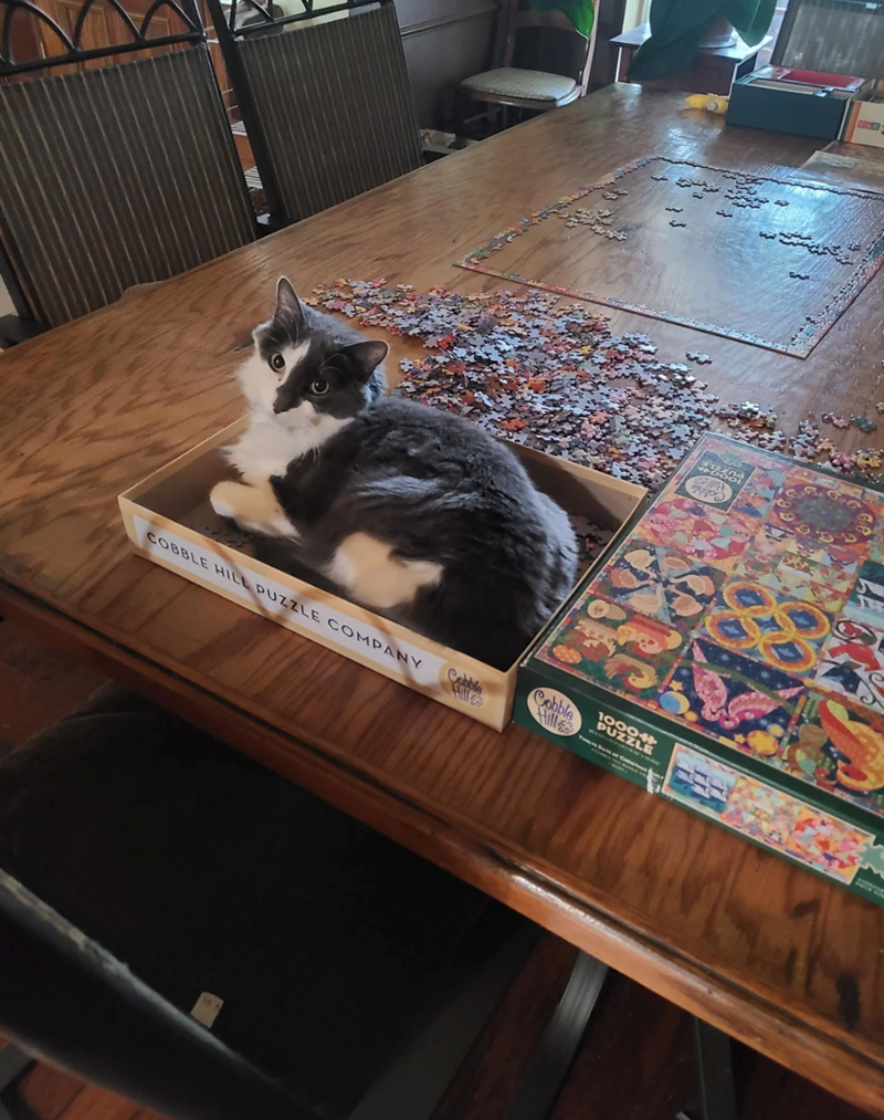 Cobble COBBLE HILL PUZZLE COMPANY Cobble Hill Hill 1000+ PUZZLE 666