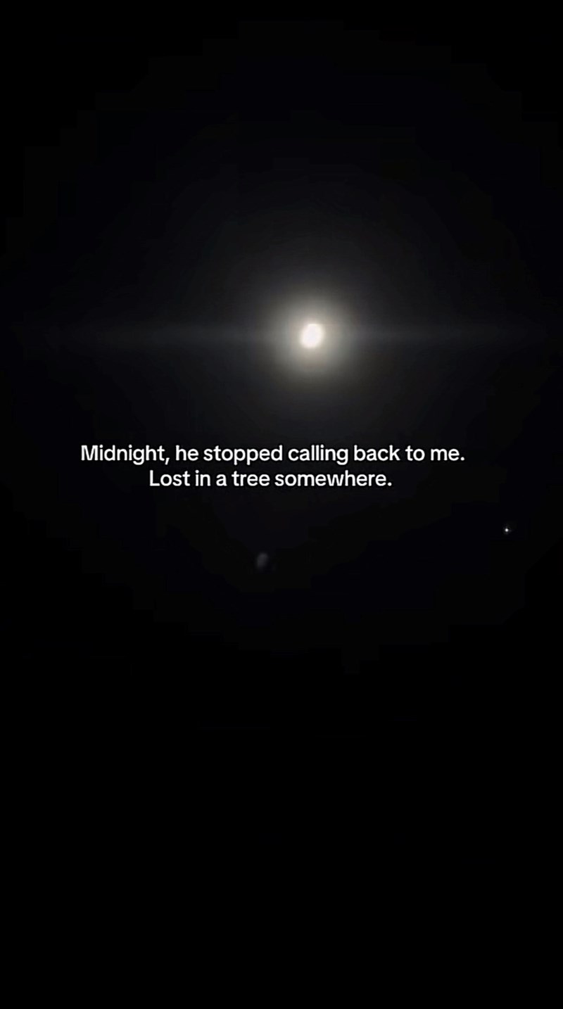 Midnight, he stopped calling back to me. Lost in a tree somewhere.