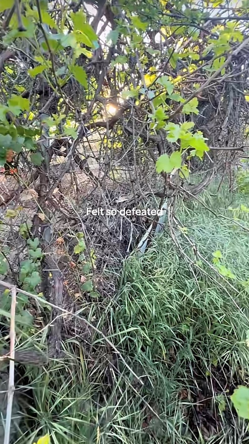 Felt so defeated?