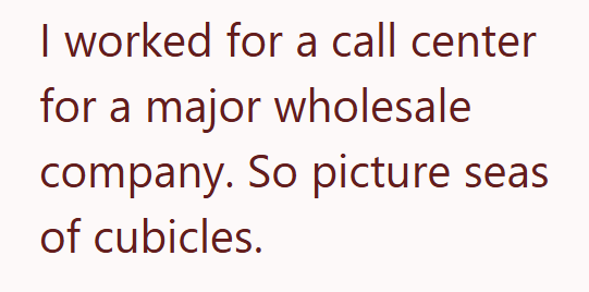 I worked for a call center for a major wholesale company. So picture seas of cubicles.