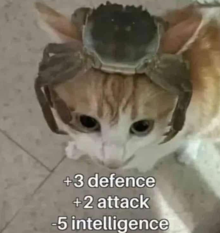 +3 defence +2 attack -5 intelligence