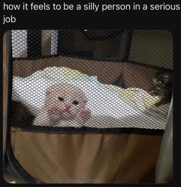 how it feels to be a silly person in a serious job