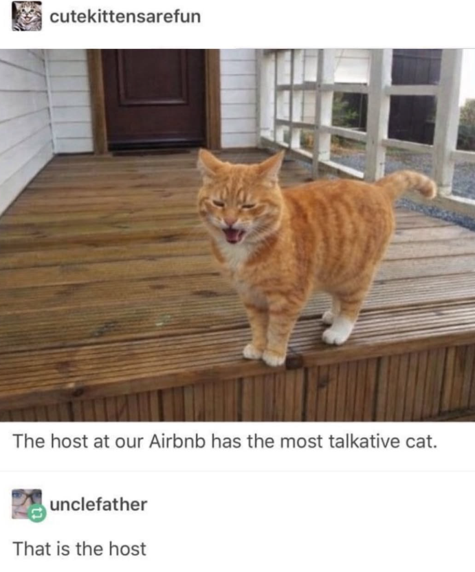 cutekittensarefun The host at our Airbnb has the most talkative cat. unclefather That is the host
