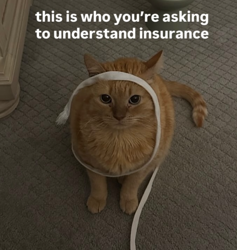 this is who you're asking to understand insurance