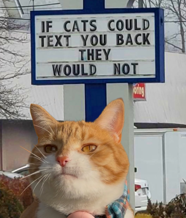 IF CATS COULD TEXT YOU BACK THEY WOULD NOT oring