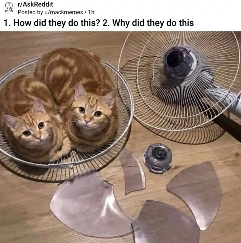 r/AskReddit Posted by u/mackmemes • 1h 1. How did they do this? 2. Why did they do this