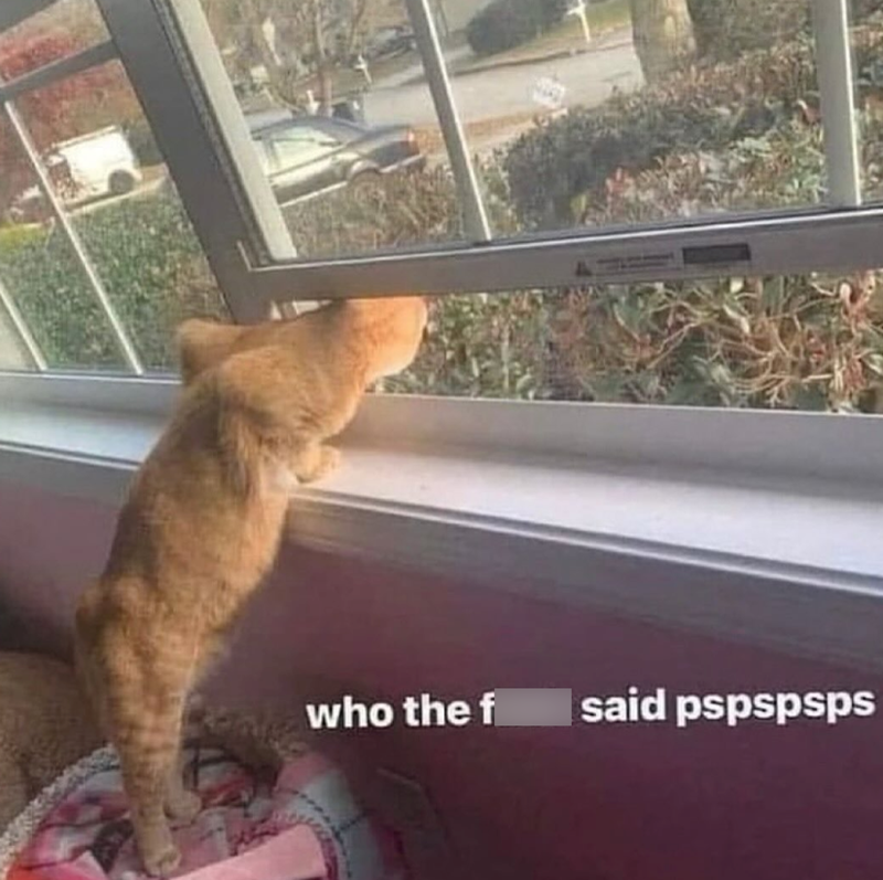 who the f said pspspsps