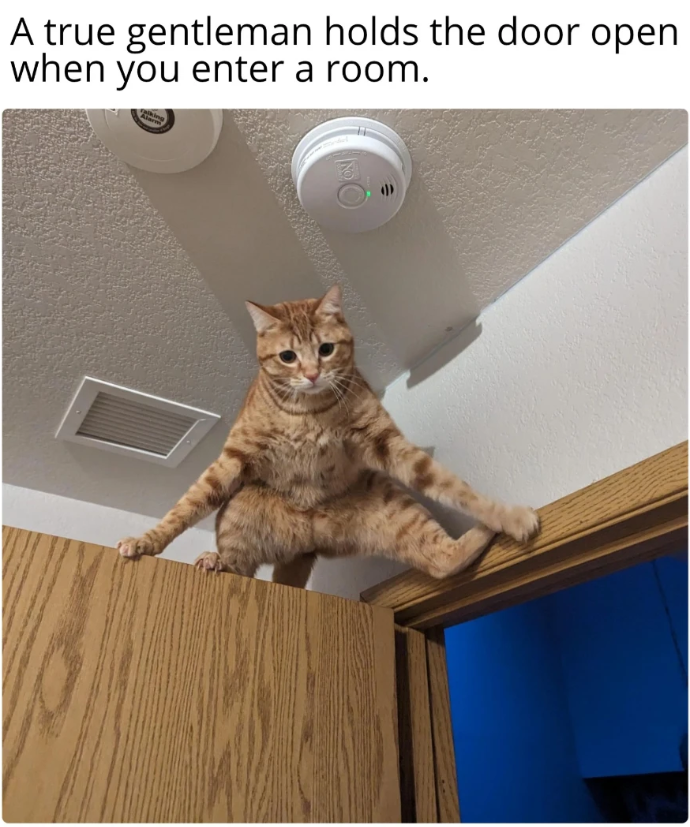 A true gentleman holds the door open when you enter a room. king