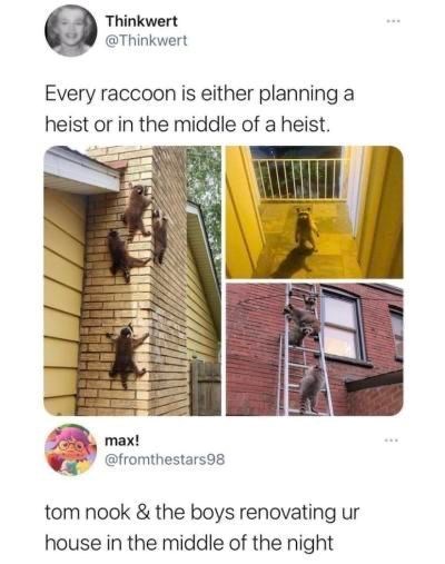 Thinkwert @Thinkwert Every raccoon is either planning a heist or in the middle of a heist. max! @fromthestars98 tom nook & the boys renovating ur house in the middle of the night