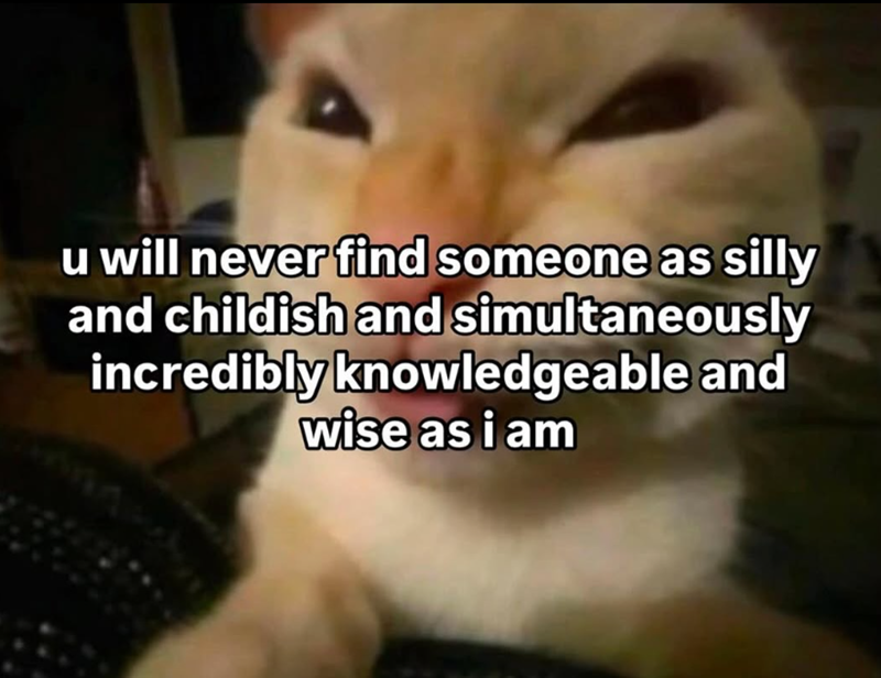 u will never find someone as silly and childish and simultaneously incredibly knowledgeable and wise as i am