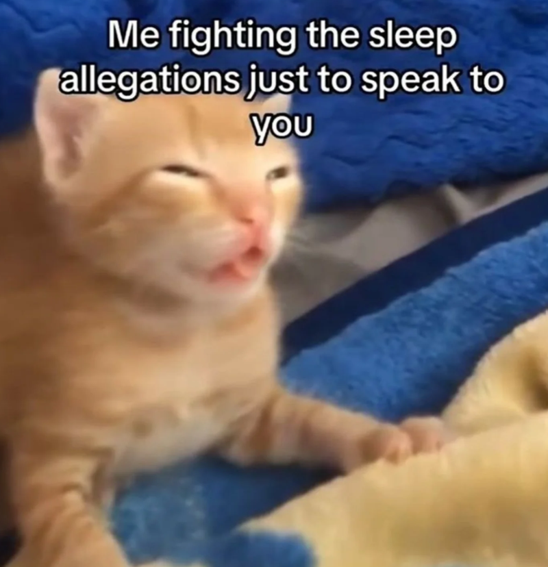 Me fighting the sleep allegations just to speak to you