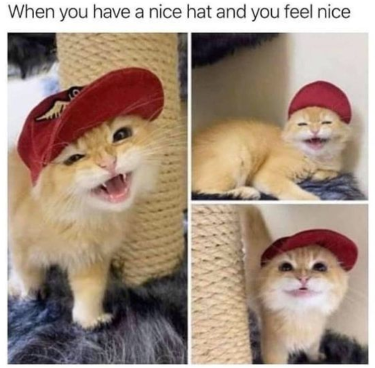 When you have a nice hat and you feel nice