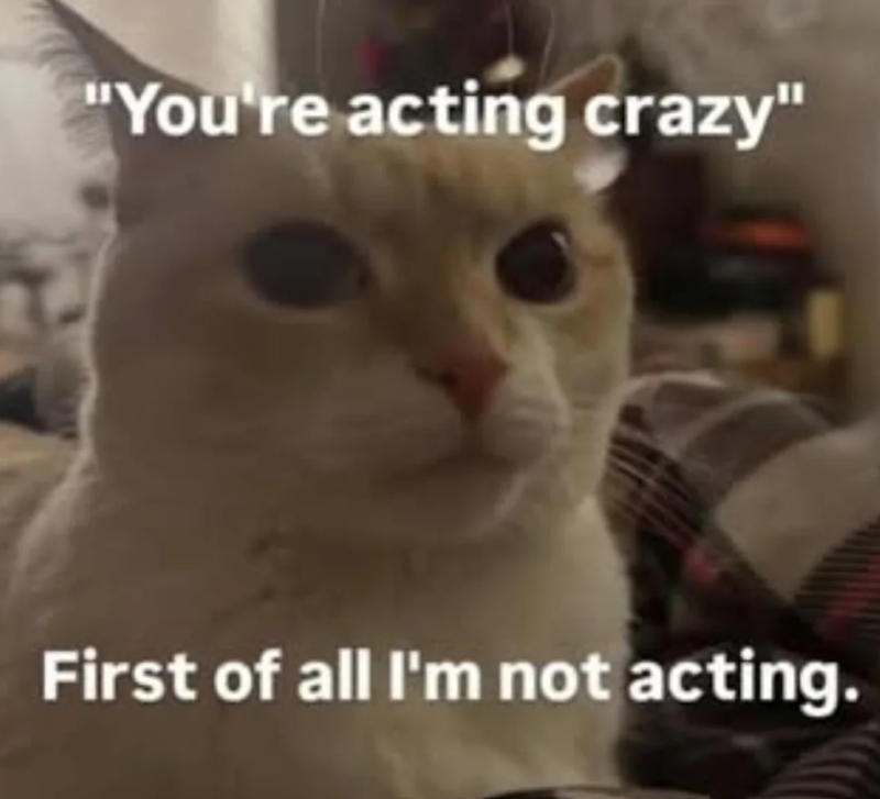 "You're acting crazy" First of all I'm not acting.
