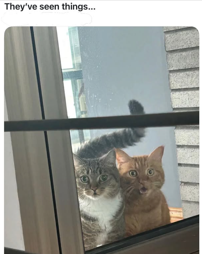 They've seen things...